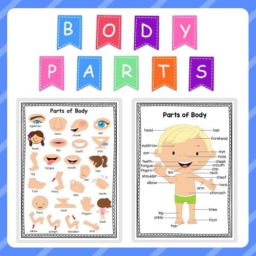 2PCS learning Body Parts words Preschool Classroom Decoration Posters Homeschool Supplies School Educational Poster for Kids