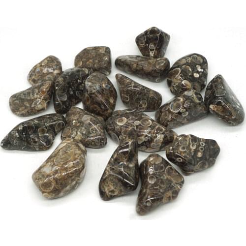 Natural Stone Turitella Agate Crystal Gem Stone Freeform Tumbled Stones Feng Shui Chakra Healing Reiki Stone