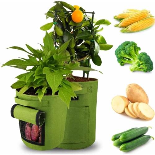Potato Planting Bag Vegetable Grow Bags Green Durable 10 Gallons Black Double Door Environmental Protection Garden Tools