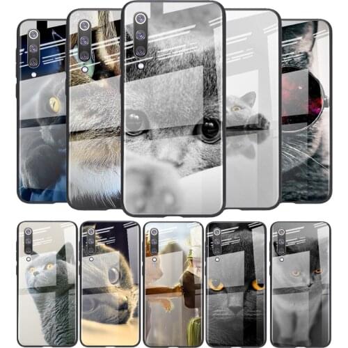 Tempered Glass Cover British Shorthair cat For Xiaomi Mi 11 11i 10T CC9E 9T Note 10 Ultra Pro Lite 5G Phone Case
