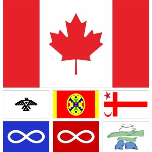 Canada Aboriginal Peoples Flag 3X5ft 90X150cm 100D Polyester Iroquois Confederacy 60x90cm 21x14cm Anishinabe Banner
