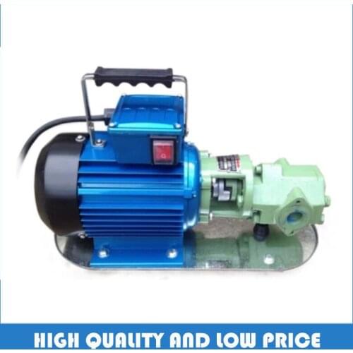WCB-30 220V/380V Fuel Transfer Pump 30L/Min Small Portable Horizontal Gear Oil Pump