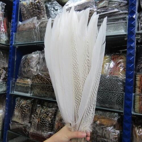 Beautiful 50pcs/lot White Natural Silver Chicken Pheasant Feathers 40-45CM/16-18 Inch Christmas Celebration Diy Plume