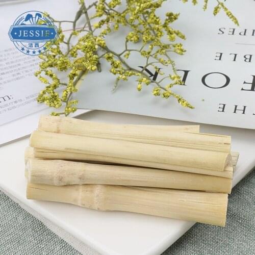 Molar Sweet Bamboo Rabbit Hamster Guinea Pig My Neighbor Totoro High Fiber Molar Stick Sweet Bamboo Snacks Pet Supplies