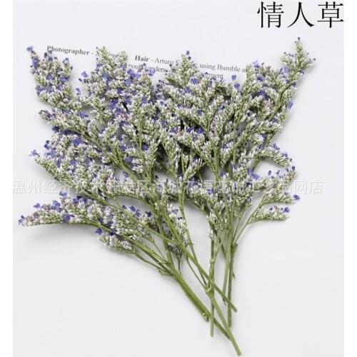 Valentines Grass Dried Flowers Hay Epoxy Phone Case Garland Specimen DIY Parent-child Handmade Photo Frame Ming Letter Card