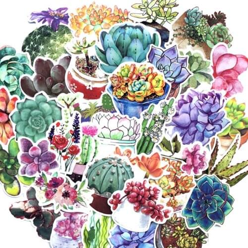 71PCS Plant Succulent Potted Cactus Small Fresh For Mobile Phone Laptop Luggage Guitar Case Skateboard Fixed Bike Stickers F4