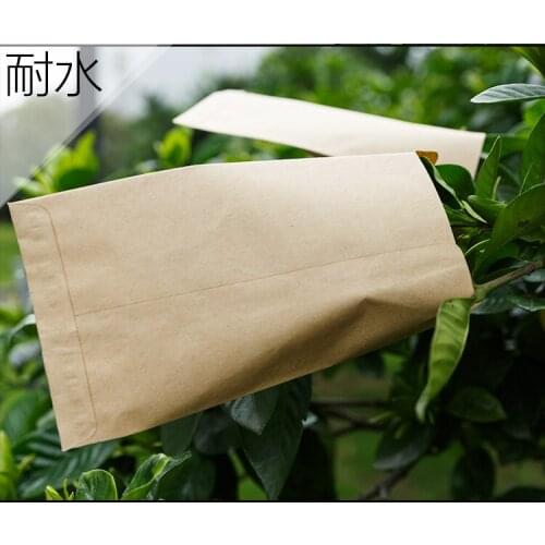 6x10/9x13/10x16/12x20cm kraft paper brown seed bags isolation sack seed packaging/protective, vertical envelope style 100pcs/lot