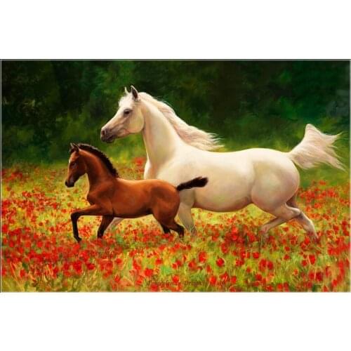 Counted Cross Stitch Kits Needlework Embroidery - Crafts 14 ct Aida DMC Color DIY Arts Handmade Home Decor - Pride and Joy