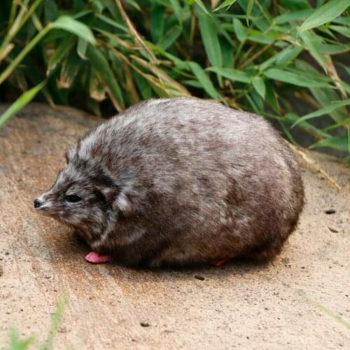 Plush Hedgehog Figurine Statue Artificial Hedgehog Miniatures Model Kids Toy