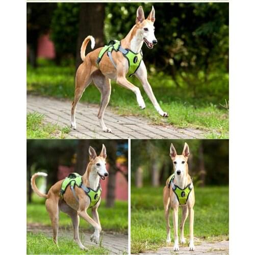 Reflective Puppy Pet Dog Harnesses Vests Chest For Dog Collars and Harnesses Pet Dog Collar Adjustable Soft Comfort Pet Dog Vest