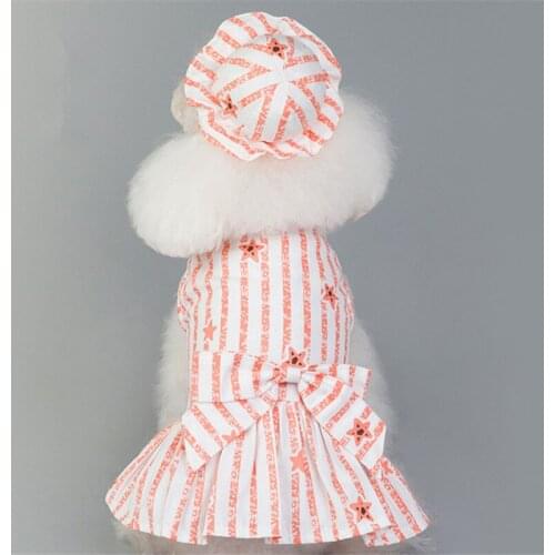 Summer Dog Dress with Cap Hat Small Dog Clothes Cat Puppy Chihuahua Yorkshrie Yorkie Clothes Skirt Poodle Pomeranian Pet Costume