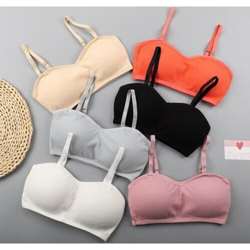 Women Padded Bras Tube Top Sexy Female Lingeries Beauty Back Wrapped Chest Underwear