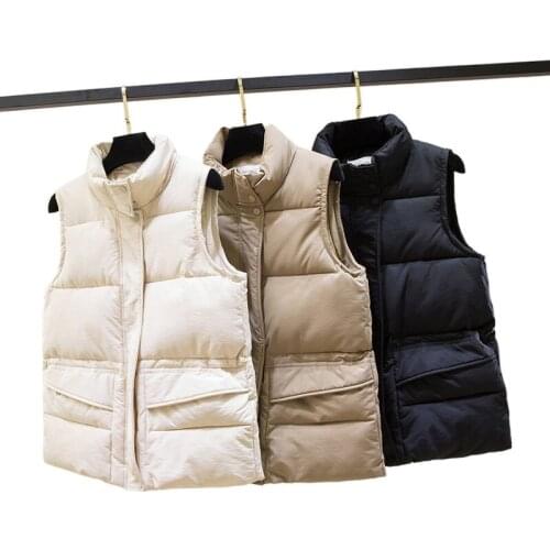 Meilly Gecko Women's Stylish Jackets