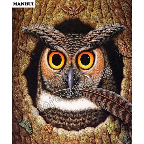 Full DIY Diamond Painting 5D Diamond Mosaic full Spuare rhinestones diamond painting embroidery owl Home Decoration BFC187