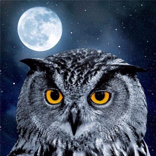 Evershine Diamond Painting Owl Cross Stitch Kit Embroidery Animals Full Square Crystal Mosaic Painting Decoration Home