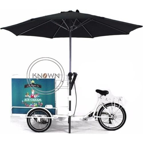 New Design Pedal or Electric Tricycle Adult Cargo Bike Family Outdoor Mobile Food Cart