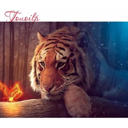 Full Square 5D DIY Diamond Painting Het Wonder Licht Diamond Embroidery,Cross Stitch,diamond Mosaic,stickers,home decor