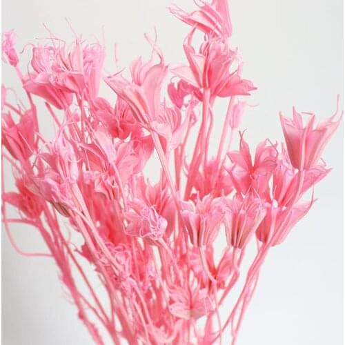 Mini Decorative Dried Flowers Star Anise Flower Bouquet Real Plant Small Preserve Floral Bunch Home Wedding Photo Backdrop Decor