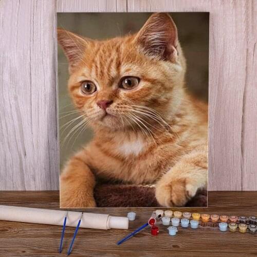 Animal Cat Painting By Numbers Kit Acrylic Paints 50*70 Painting On Canvas Handmade Crafts For Adults For Drawing Handicraft