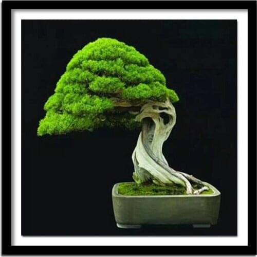 5D Diy Diamond Painting Cross Stitch Evergreen Tree Bonsai Diamond Full Diamond Embroidery Rhinestone Gift Decoration Kit