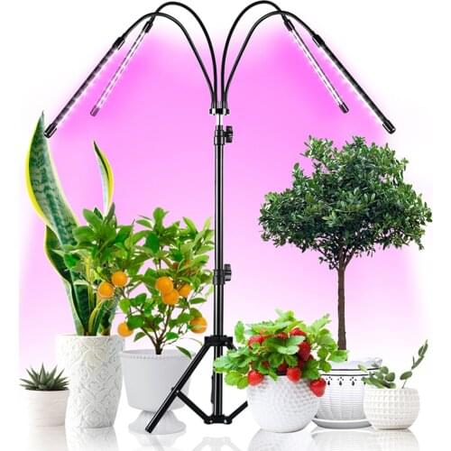 Лампы для растений Tomshine China At AliExpress