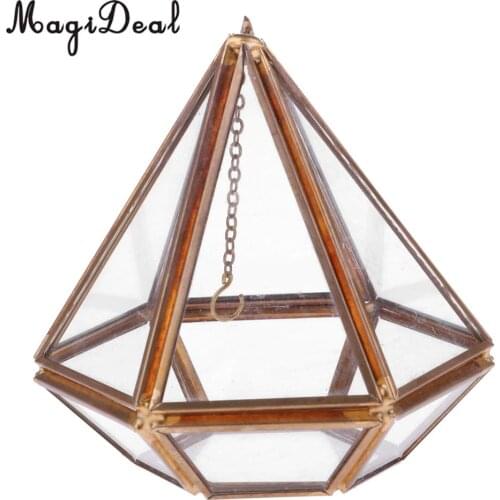 MagiDeal Vertebral Glass Hanging Geometric Terrarium Tabletop Succulent Air Planter