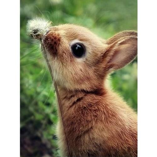 5D DIY Diamond Painting Cross Stitch Animal Square Rhinestone diamond Embroidery Mosaic Rabbit and dandelion pattern Home Decor