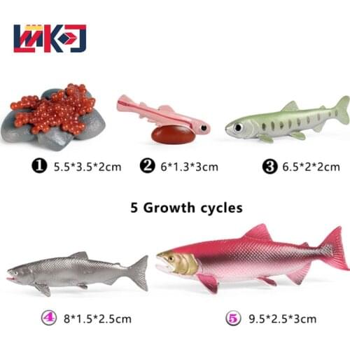 Animals DIY Growth Cycle Animal Model Marine Life Salmon Children Cognitive Toys Action Figures Toy Gift Educational Kids Toys