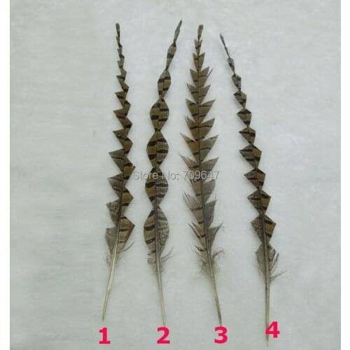 40Pcs/Lot! 28-35cm long Natural Trimmed Ringneck PHEASANT Tail FEATHERS Craft Millinery Fly Fishing 4Models for choice