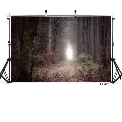 Fog Mysterious Forest Photographic Backgrounds Vinyl Cloth Backdrop for Photo Studio for Baby Children Young Portrait Photophone