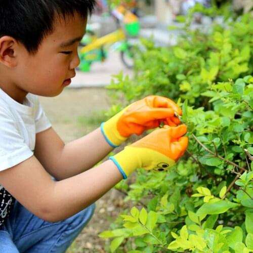 Newly Children Gardening Gloves Multipurpose Reusable Waterproof Protective Gloves for Outdoor Courtyard DIY Project