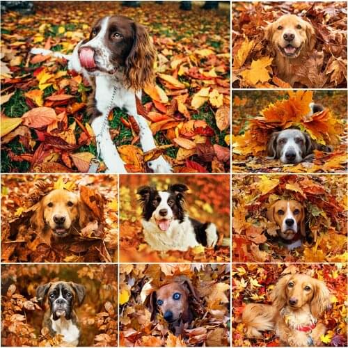 Diamond Painting Animal Dog 5D DIY Full Drill Embroidery Gift Handmade Hobby Cross Stitch Tools Kits Mosaic Home Decor Art Mura