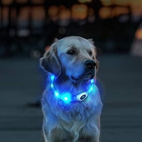 HONEYCARE LED Dog Collar USB Rechargeable Glowing Adjustable Waterproof Silicone Flashing Light Up CollarPet Products