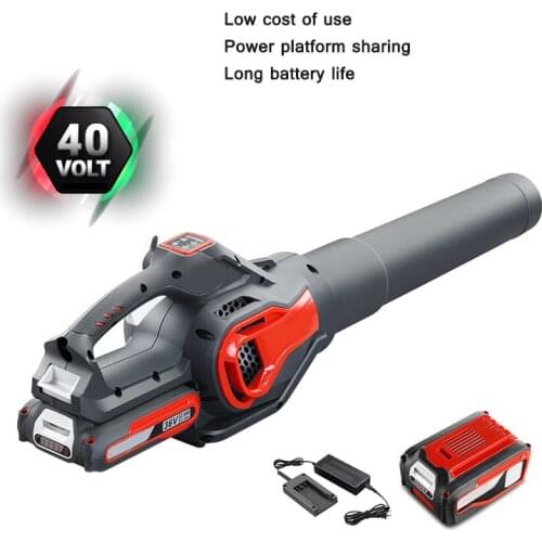 Lithium electric hair dryer, garden leaf cleaning, dust collector, wireless rechargeable hair dryer, adjustable wind speed