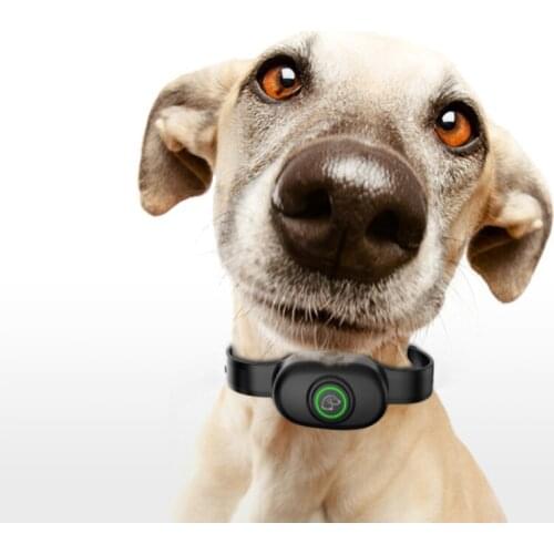 Dog Anti-Bark Control Collar Rechargeable Waterproof Pet Training Shock Bark Collars for Small Medium Large Dog No Bark Collar