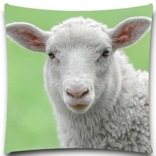Square 5 size 9 style Fashion Cotton & polyester Animals pig sheep cow Pillow Case Home Decorative sofa car Hot