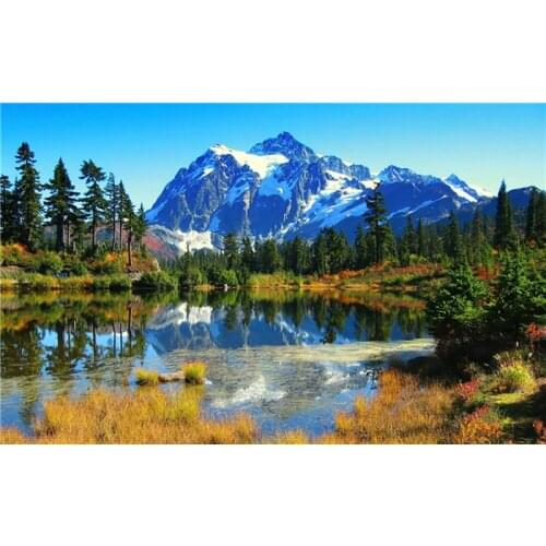 Dound Diamond Embroidery winter landscape DIY Diamond Painting Cross Stitch Needlework Rhinestones Paintings Home Decorative