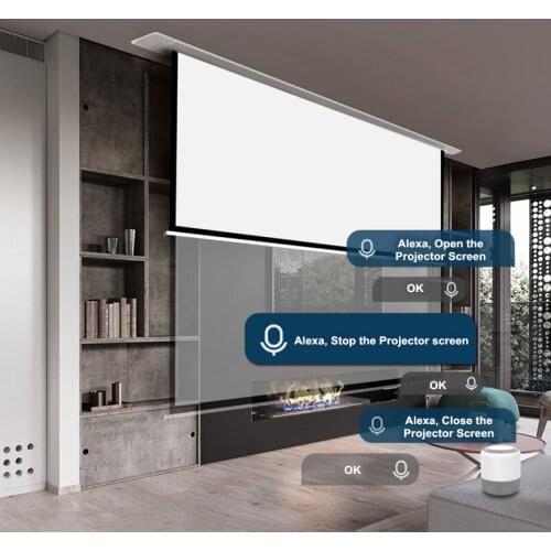 Diwell Motorized Built Hidden In Ceiling Projection Screen, DWSP-9