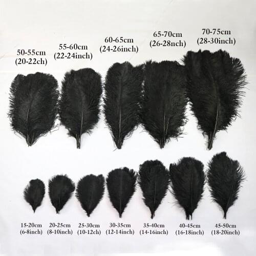 10 Pcs Wholesale Black Ostrich Feathers 15-75 CM/6-30 inches Ostrich Plumes Wedding Home Party Decoration Feather for Crafts