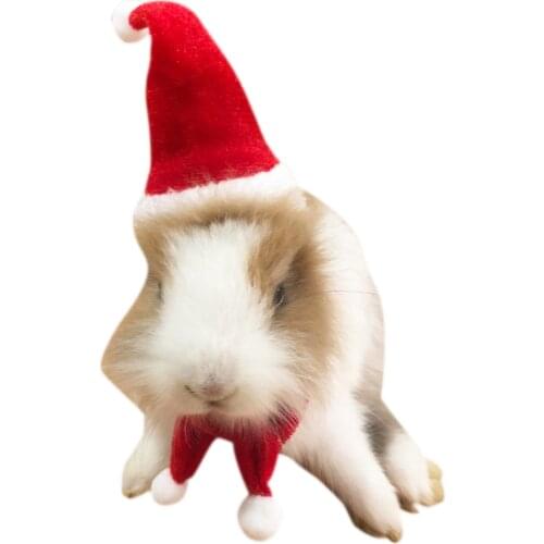 Small Animals Pet Santa Claus Hat Rabbit Hamster Guinea Pig Rats Festival Costume Christmas Cap with Band Pet Products