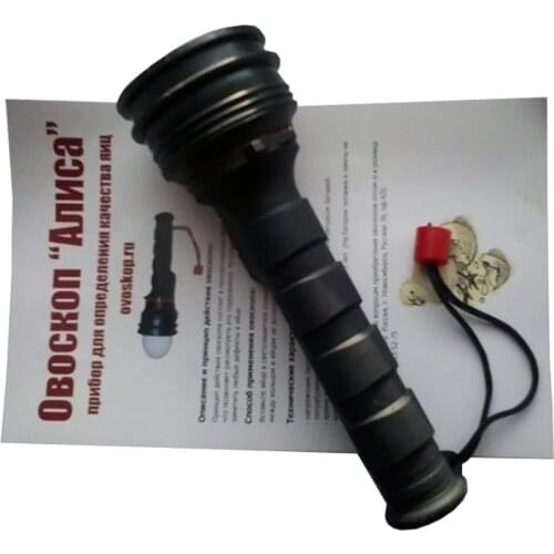 Алиса Products For Birds