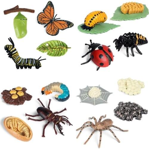 Simulation Animal Insect Growth Cycle Bee Spider Butterfly Mantis Ladybird Model Action Figure Figurines Teaching Toys For Kids