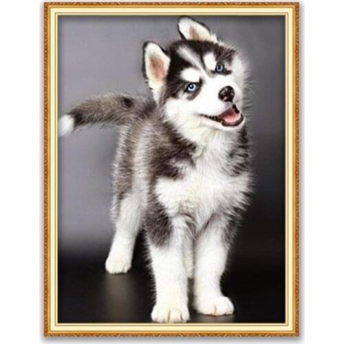 Animal Dog Husky DIY 11CT Cross Stitch Embroidery Kits Needlework Craft Set Cotton Thread Printed Canvas Home Decoration On Sale