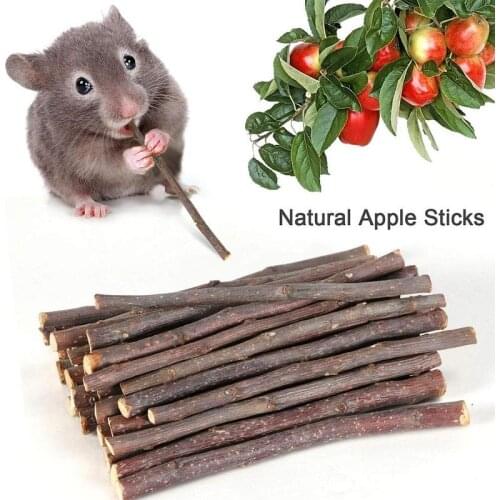 Pet Playing Small Pets Rabbit Hamster Guinea Pig Parrot Toys Hamster Chew Toy Wood Sticks Twigs Cleaning Teeth Chinchilla