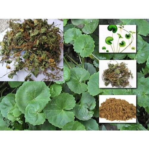 Organic Dried Centella Asiatica/Gotukola Leaf