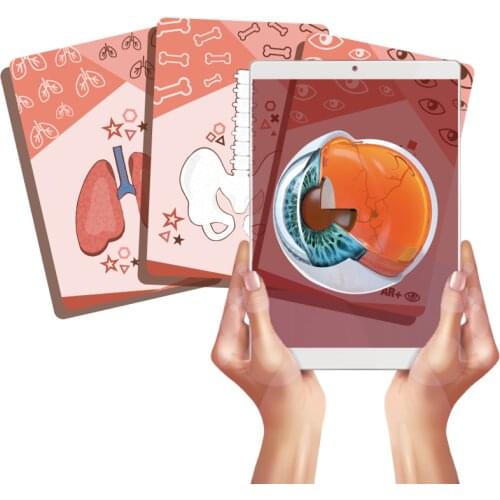 AR+ Body planet Toys And Goods For Creativity