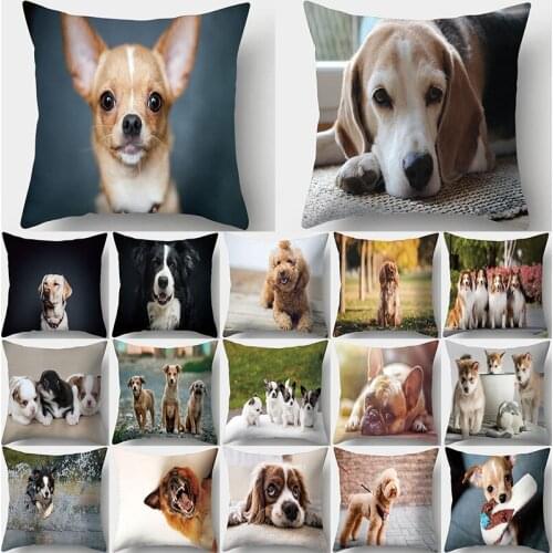Pug Dog Print Decorative Cushions Pillowcase Polyester Pet Corgi Cushion Cover Sofa Living Room Decoration Pillowcover 45x45cm