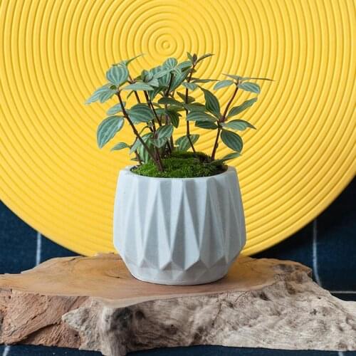 Creative Silicone Pot Molds for Concrete Various DIY Cement Flowerpot Clay Mould