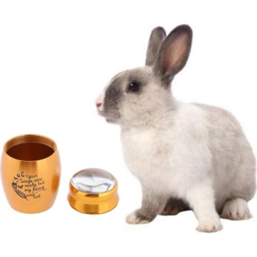 Stainless Steel Small Keepsake Urn for Pet Ashes Human Ashes Mini Cremation Urns Holder Memorial Ashes Urn Handcrafted