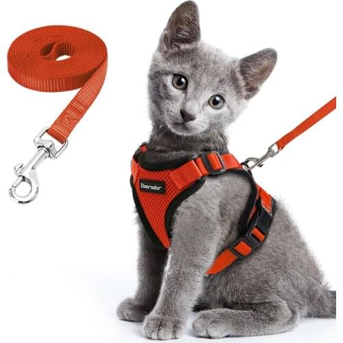 Cat Harness and Leash Set for Walking Small Dog Harness With Reflective Strips Nylon Mesh Pet Clothes For Puppy Kitten Collars